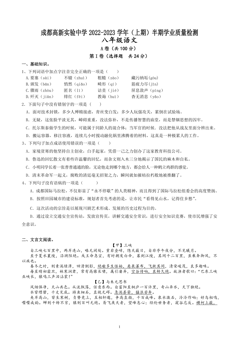 四川省成都高新实验中学2022-2023学年八年级上学期期中语文试题.docx_第1页