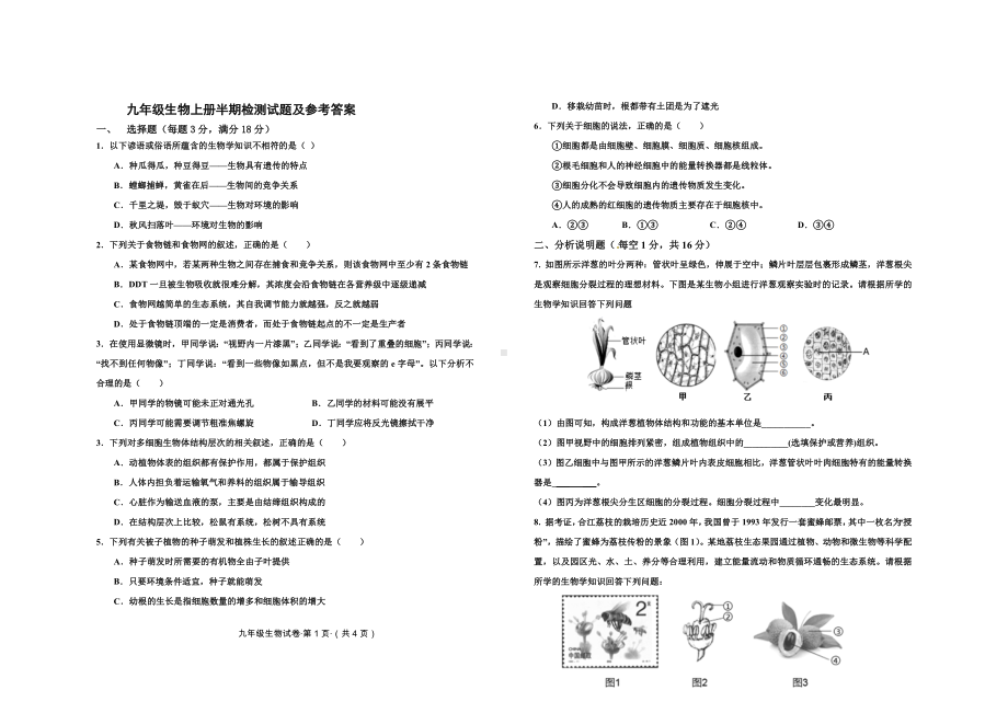 九年级生物上册半期检测试题及参考答案.docx_第1页