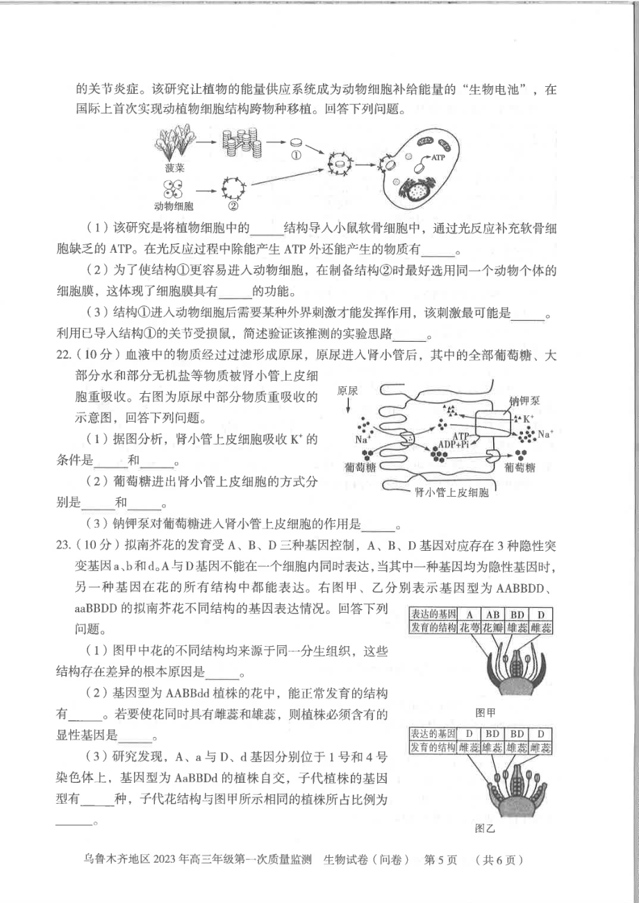 新疆乌鲁木齐地区2023年高三第一次质量监测生物试题及答案.pdf_第3页