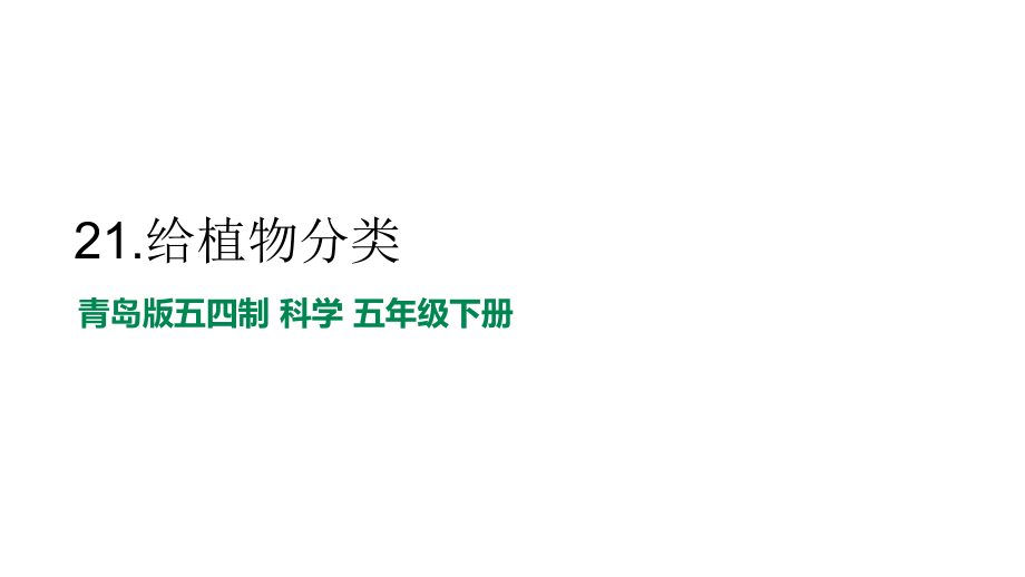 6.21、给植物分类（ppt课件12张PPT+素材）-2023新青岛版（五四制） 五年级下册《科学》.rar