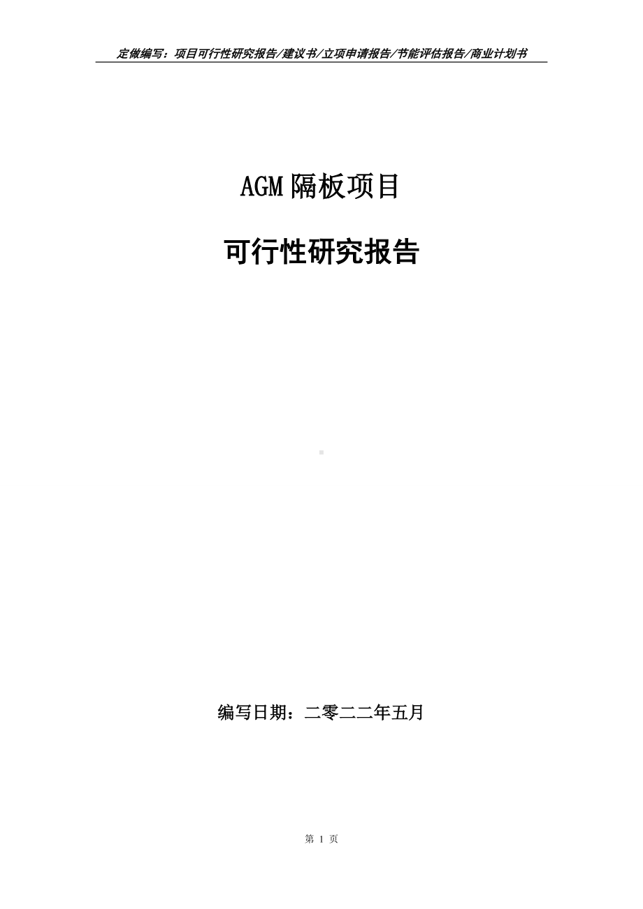 AGM隔板项目可行性报告（写作模板）.doc_第1页