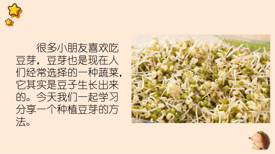 10豆芽种植我在行（ppt课件）-2023新北师大版二年级上册《劳动》.pptx_第2页