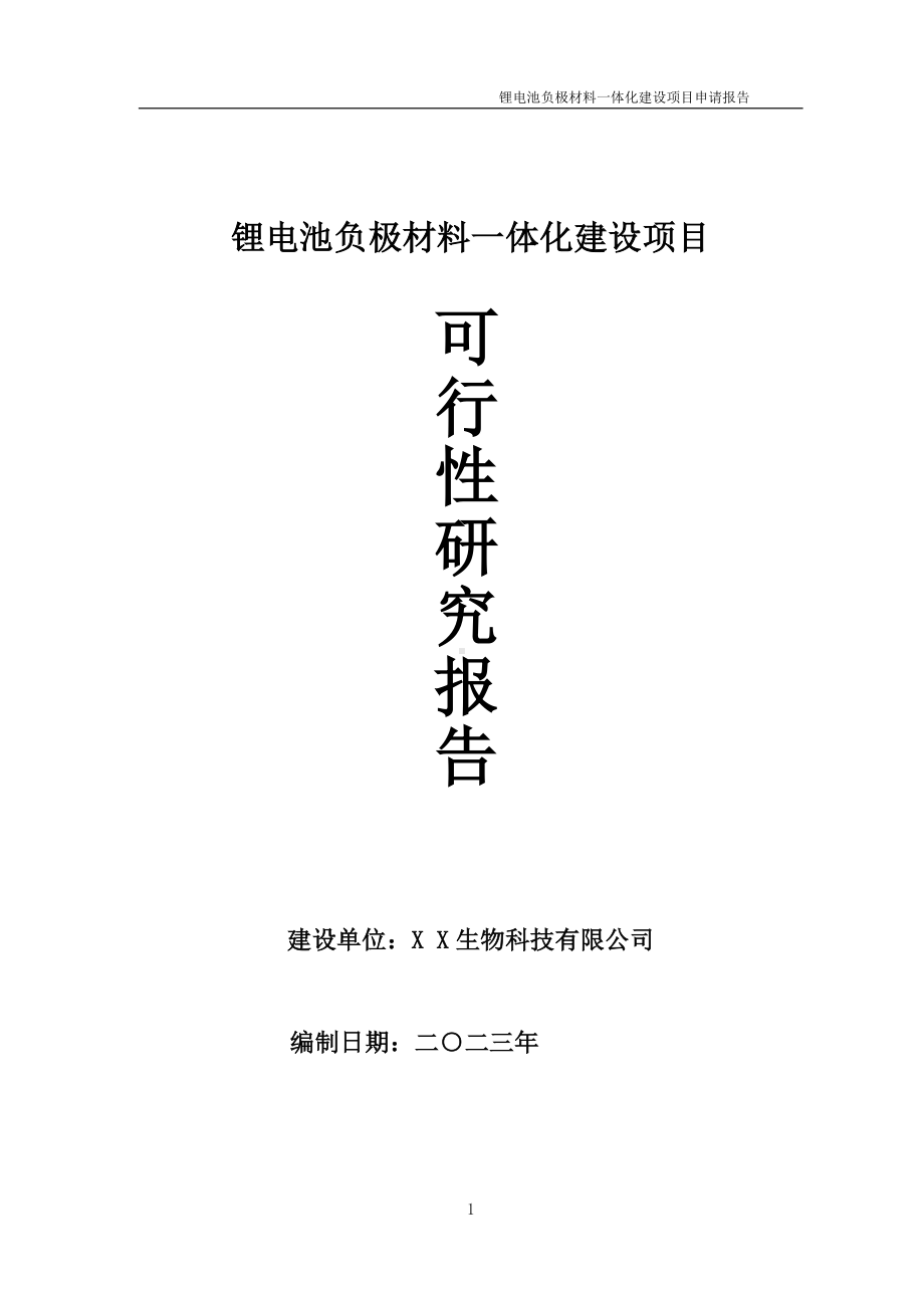 锂电池负极材料一体化项目可行性研究报告备案申请模板.doc_第1页