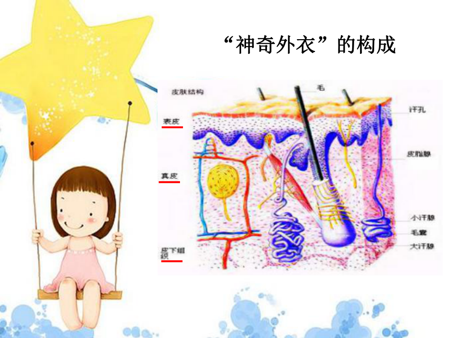 别让皮肤受伤害(ppt课件 )-小学生主题班会通用版.pptx_第3页