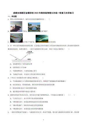 四川省成都东部新区金堰学校2023年教科版物理九年级一轮复习光学练习.docx