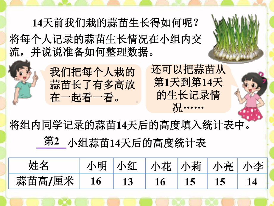 四年级下册数学课件－6.2栽蒜苗（一） ｜北师大版 (共18张PPT).ppt_第3页