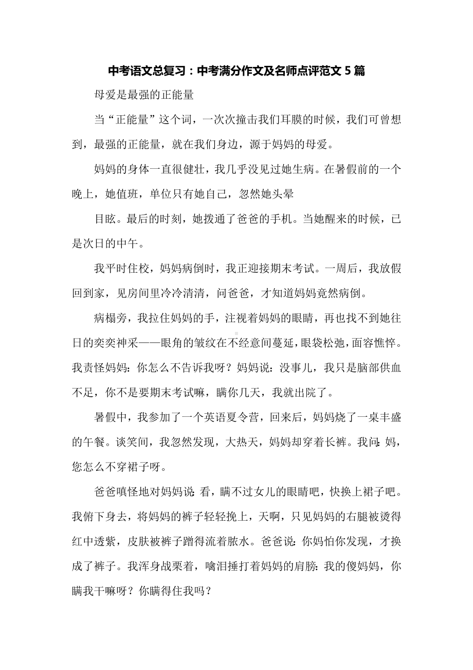 中考语文总复习：中考满分作文及名师点评范文5篇.docx_第1页