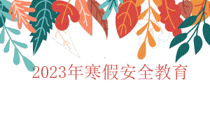 2023年寒假安全（ppt课件）-小学生主题班会通用版.pptx