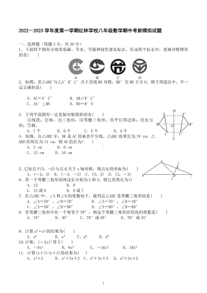 海南省昌江黎族自治县红林学校2022－2023学年上学期八年级数学期中模拟试题 .docx