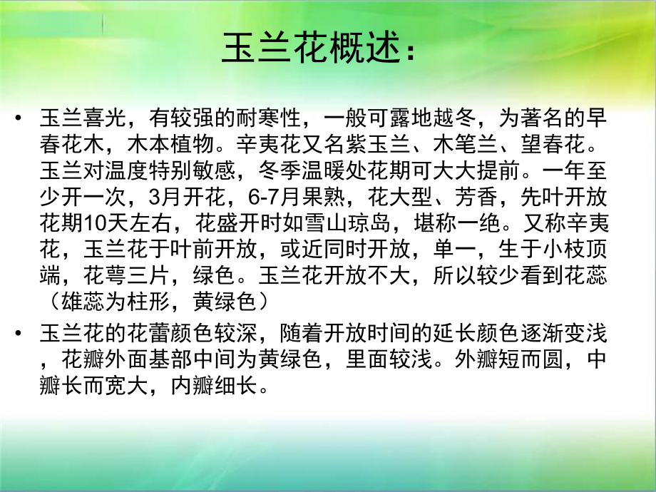 一年级下册美术课外班课件-4玉兰全国通用（PPT11页）.ppt_第3页