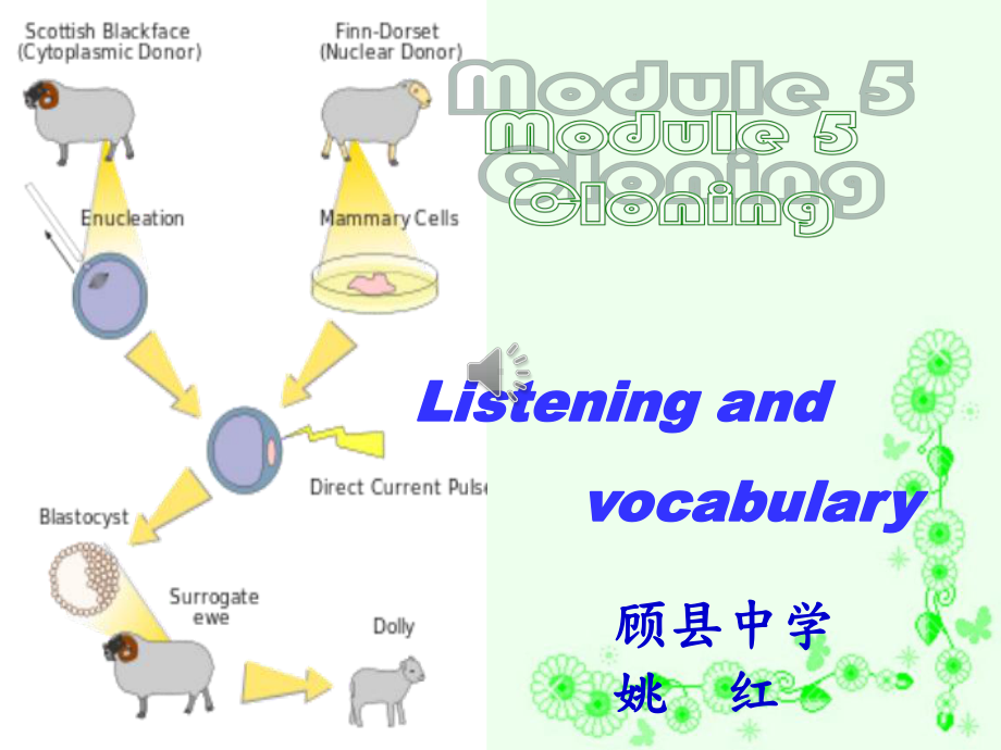 外研版高中英语Book 6 Module 6 War and Peace listening and vocabulary 教学课件 (共28张PPT).ppt_第1页