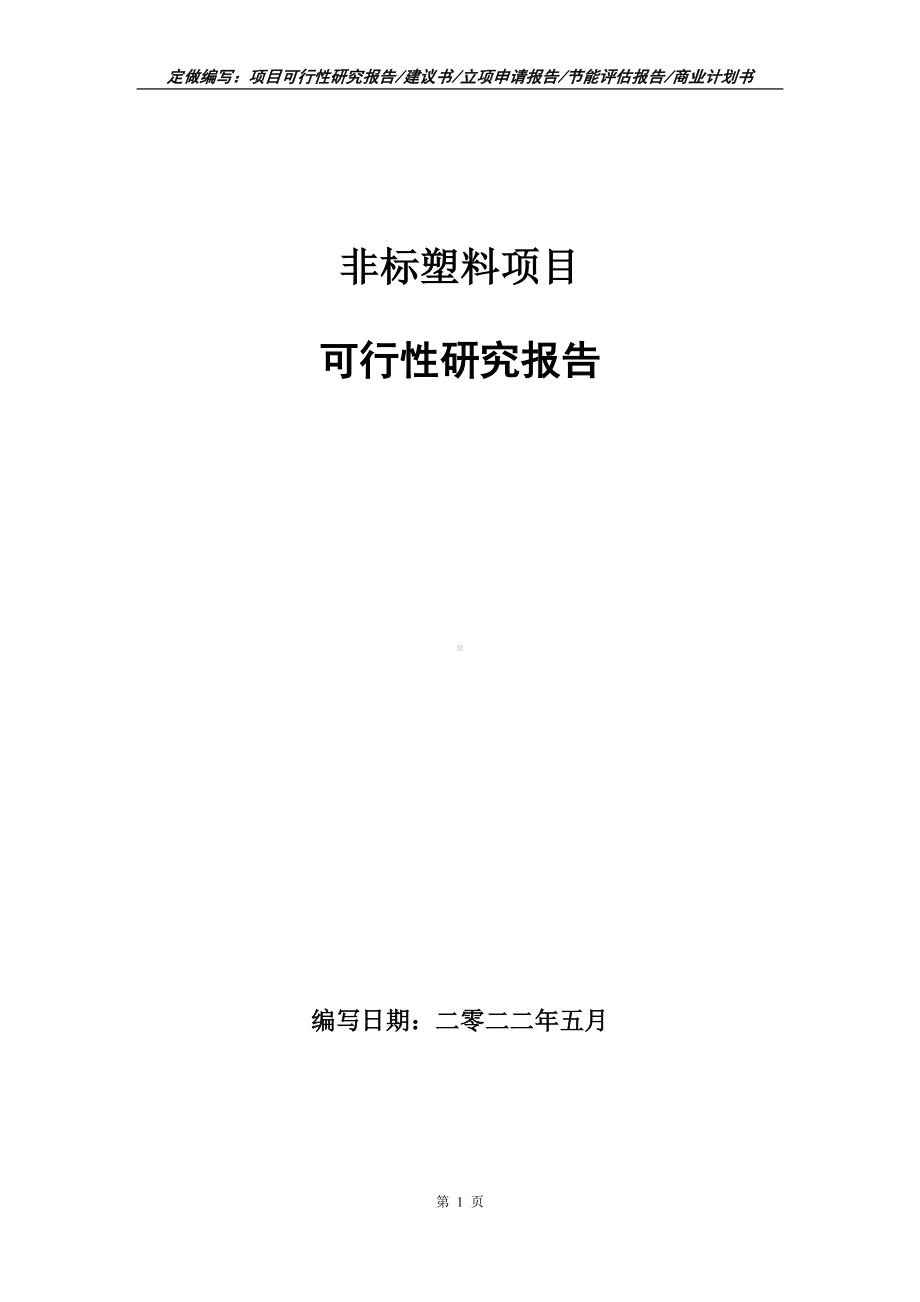 非标塑料项目可行性报告（写作模板）.doc_第1页