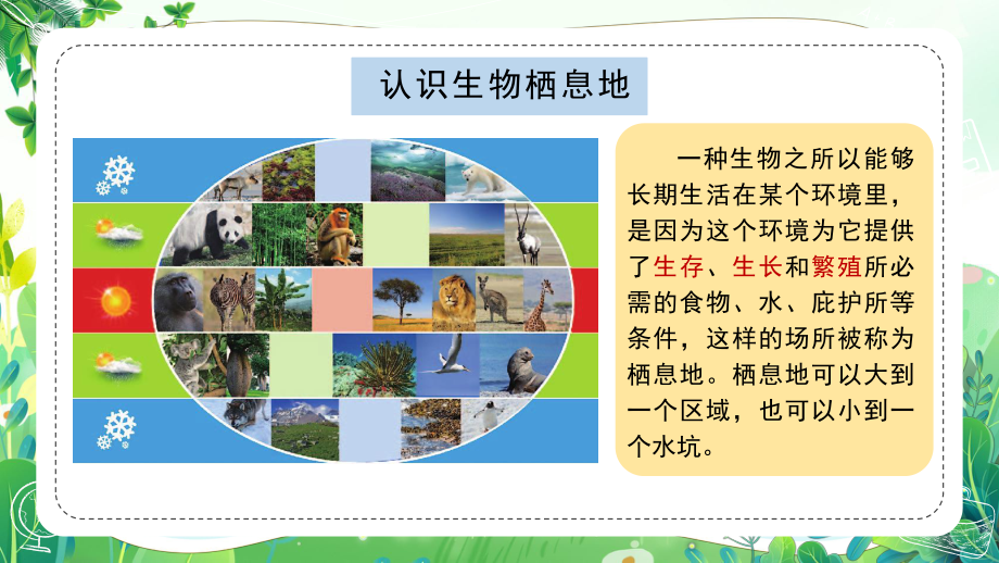 新苏教版六年级下册科学第二单元第5课《多样的栖息地》课件.pptx_第2页