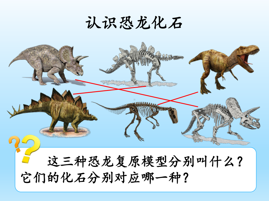 小学科学湘科版六年级下册第二单元第2课《恐龙的故事》课件（2023春）.pptx_第3页