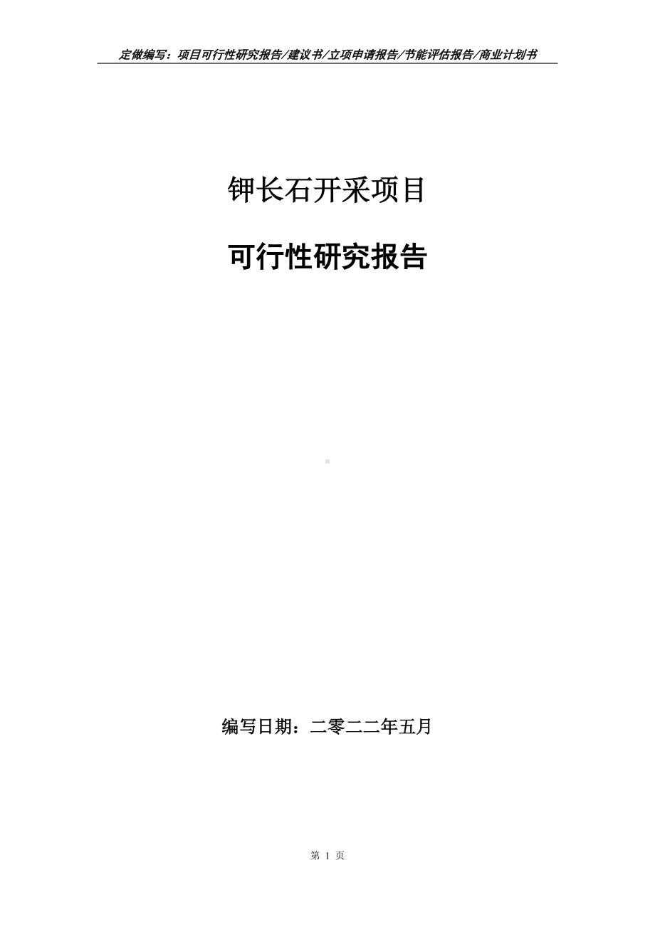 钾长石开采项目可行性报告（写作模板）.doc_第1页