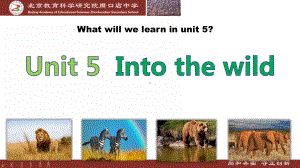 Unit 5 Understanding ideas （ppt课件） -新外研版（2019）《高中英语》必修第一册.pptx