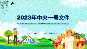 详解宣贯关于做好2023年全面推进乡村振兴重点工作的意见内容教学课件.pptx