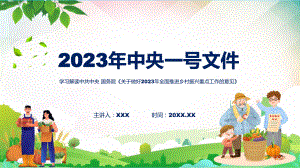 学习解读关于做好2023年全面推进乡村振兴重点工作的意见教学课件.pptx