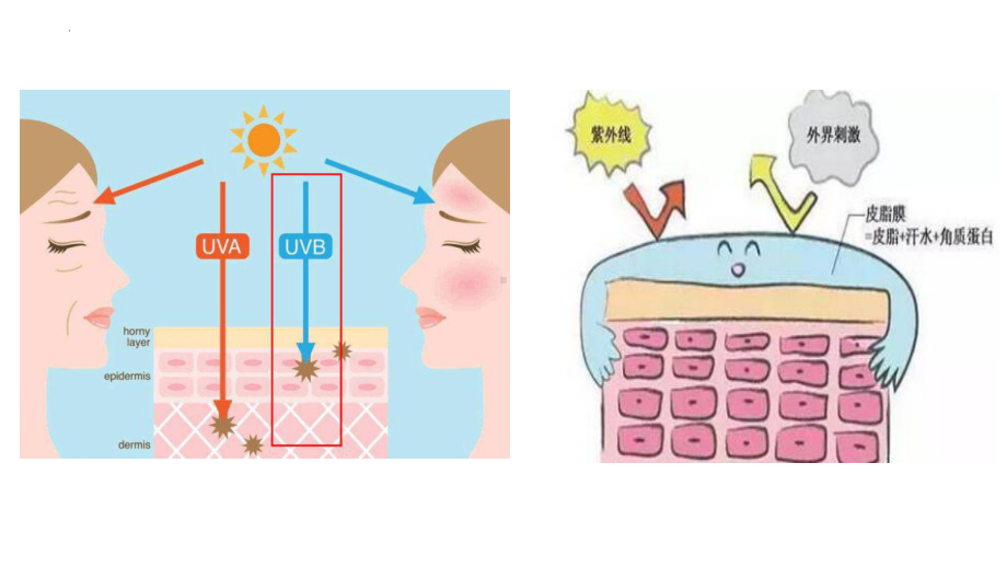 Unit 5 Reading and Thinking 短语背诵及默写（ppt课件）-新人教版（2019）《高中英语》选择性必修第二册.pptx_第3页