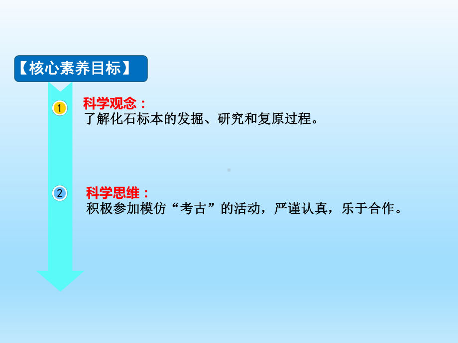 小学科学湘科版六年级下册第二单元第3课《我们来发掘“化石”》课件（2023春）.pptx_第2页