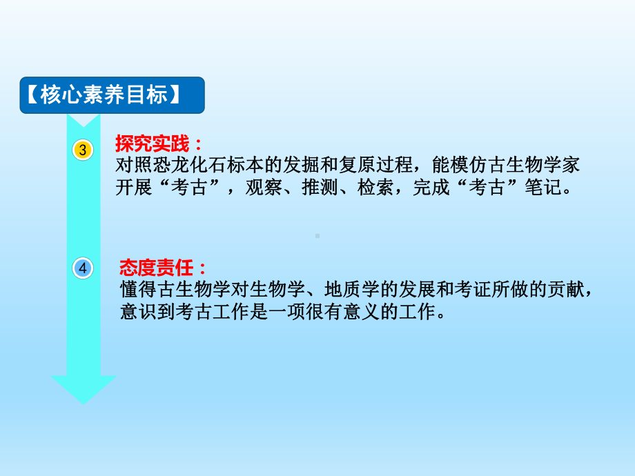 小学科学湘科版六年级下册第二单元第3课《我们来发掘“化石”》课件（2023春）.pptx_第3页