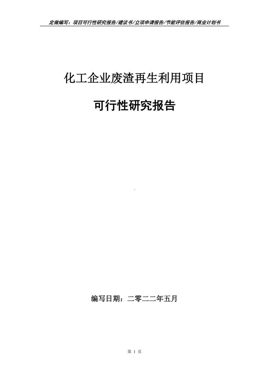 化工企业废渣再生利用项目可行性报告（写作模板）.doc_第1页