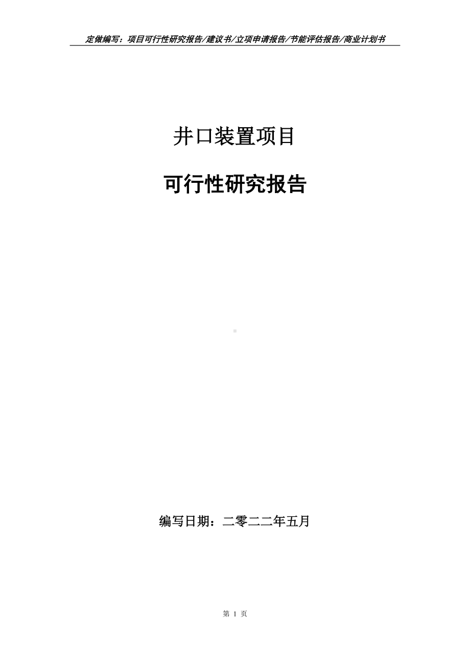 井口装置项目可行性报告（写作模板）.doc_第1页