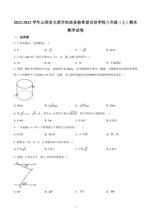 山西省太原市阳曲县新希望双语学校2022—2023学年八年级上学期期末数学试卷.docx