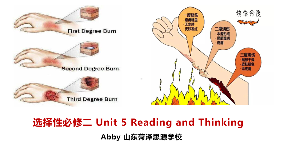 Unit 5 Reading and Thinking 整体理解及知识点（ppt课件）-新人教版（2019）《高中英语》选择性必修第二册.pptx_第1页