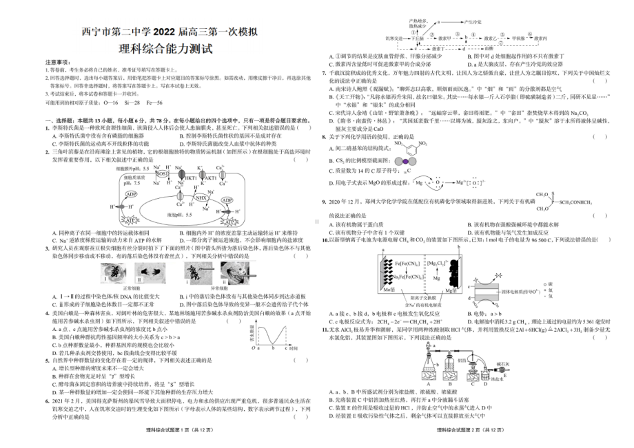 2022届青海省西宁市第二 高三第一次模拟考试理综试题及答案.pdf_第1页