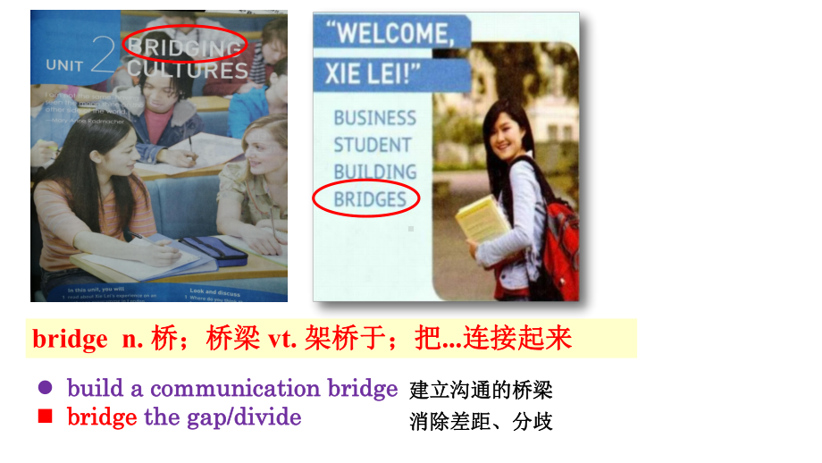 Unit 2 Bridging Cultures Language points（ppt课件）-新人教版（2019）《高中英语》选择性必修第二册.pptx_第2页