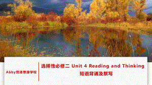 Unit 4 Reading and Thinking 短语背诵及默写（ppt课件）-新人教版（2019）《高中英语》选择性必修第二册.pptx