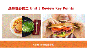 Unit 3 Review Key Points 复习（ppt课件）-新人教版（2019）《高中英语》选择性必修第二册.pptx