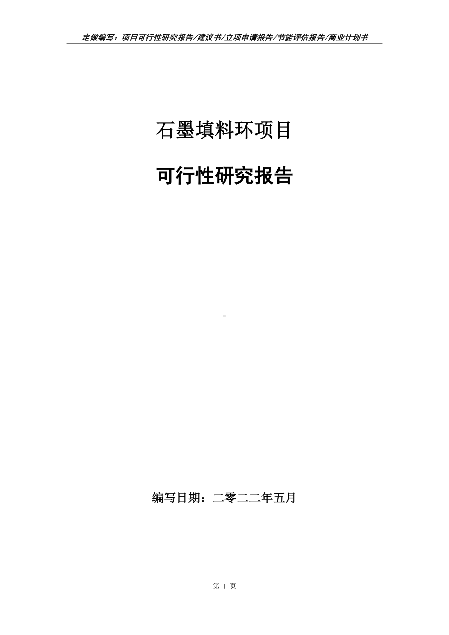 石墨填料环项目可行性报告（写作模板）.doc_第1页