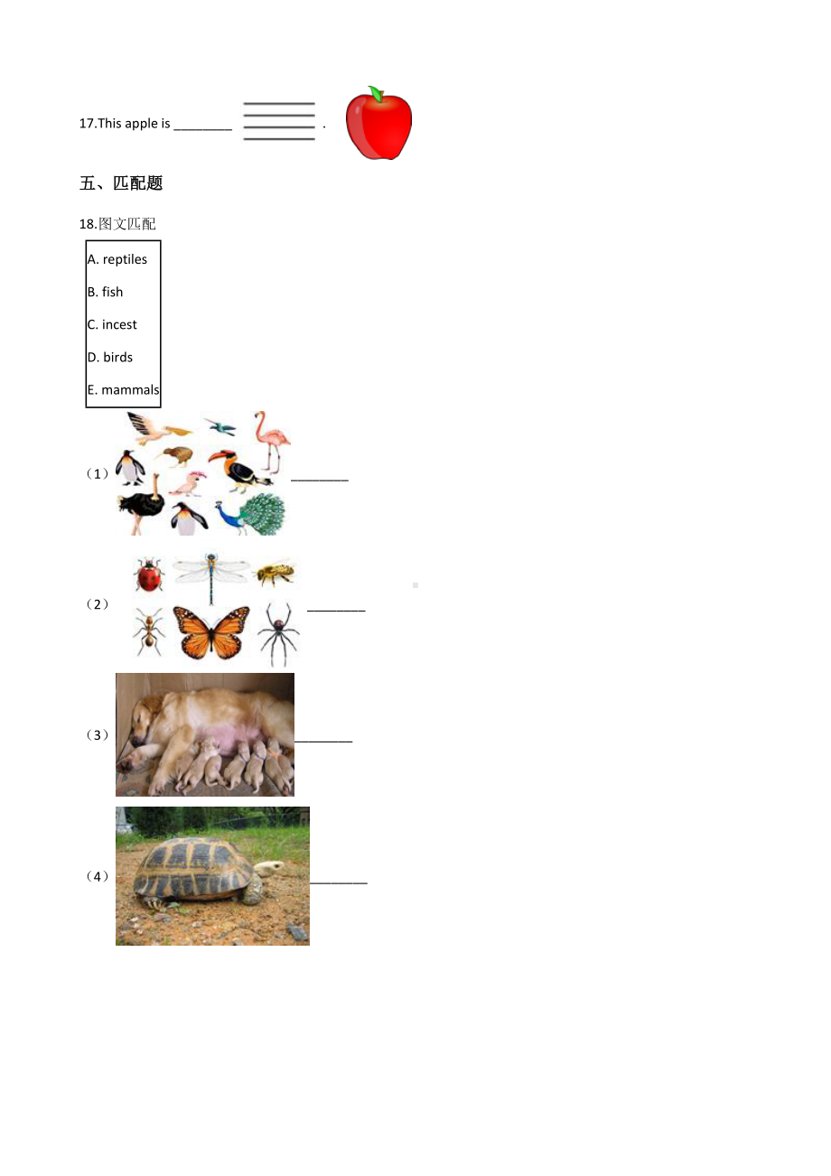 六年级下册英语试题-暑假综合训练（三） 外研版（三起点） 含答案.doc_第3页