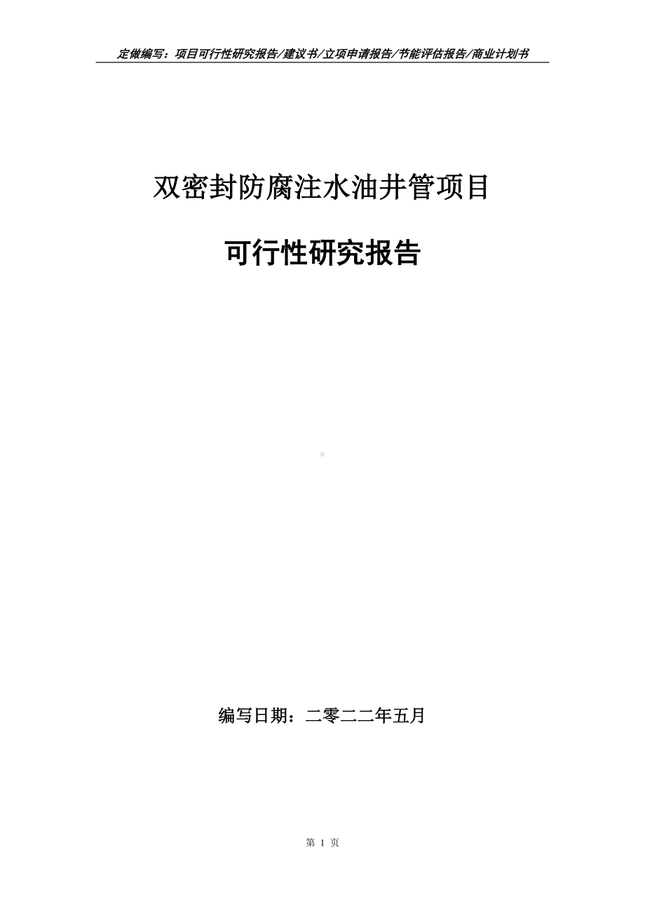 双密封防腐注水油井管项目可行性报告（写作模板）.doc_第1页