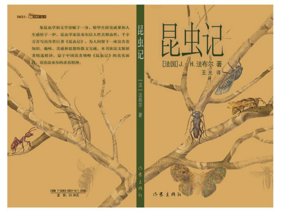 六年级下册语文课件-《绿色蝈蝈》人教部编版 （共24张PPT）.ppt_第1页