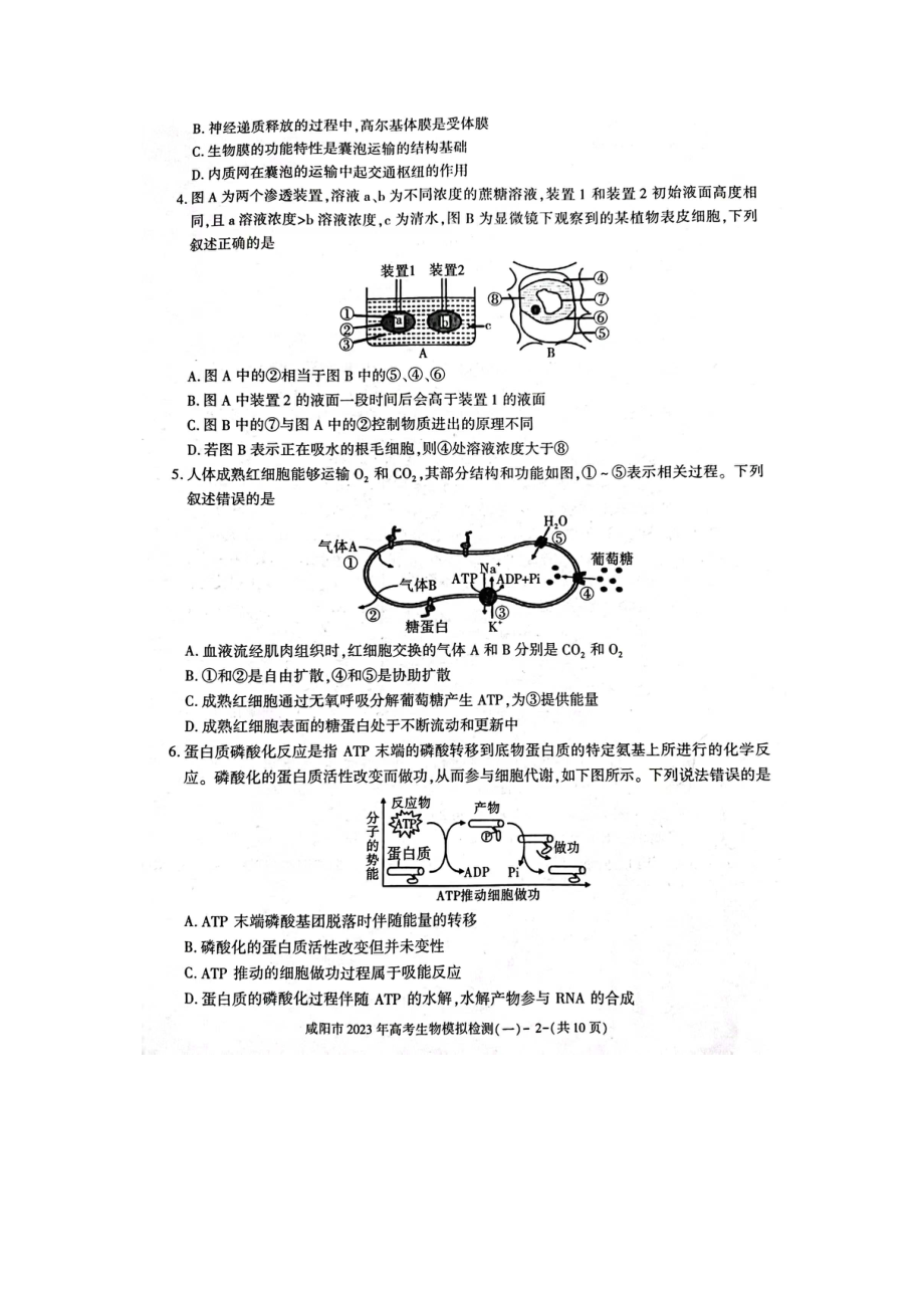 陕西省咸阳市2023届高三生物一模试卷及答案.pdf_第2页