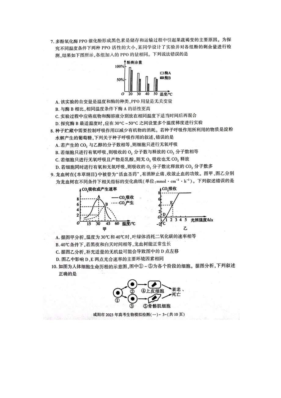 陕西省咸阳市2023届高三生物一模试卷及答案.pdf_第3页