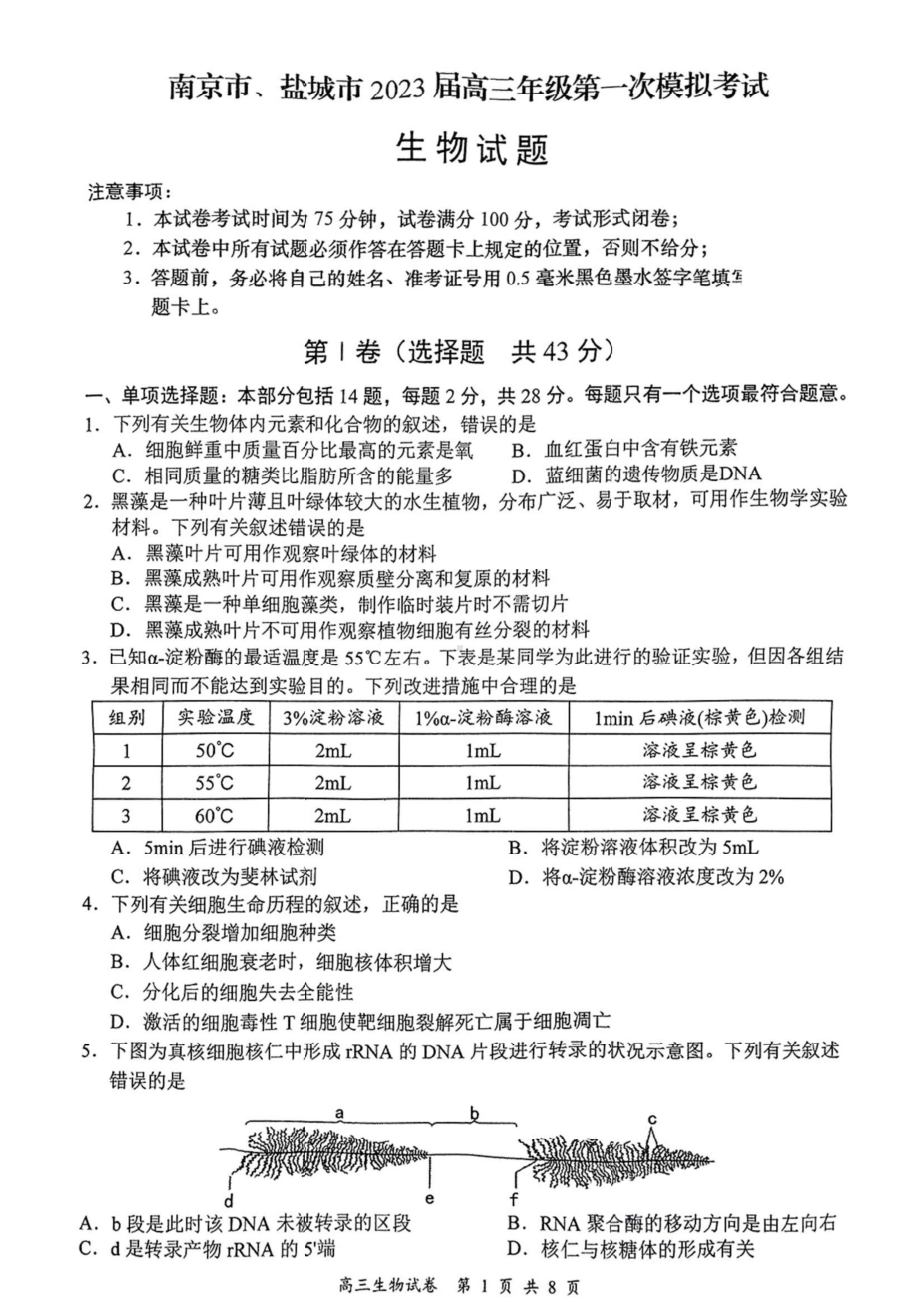 江苏省盐城市南京市2023届高三上学期期末调研测试生物试卷+答案.pdf_第1页