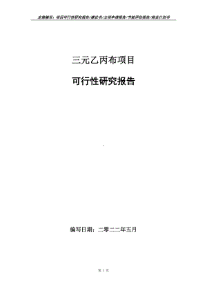 三元乙丙布项目可行性报告（写作模板）.doc