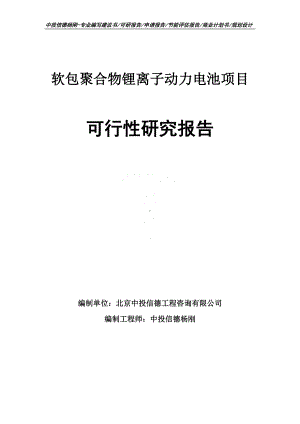 软包聚合物锂离子动力电池项目可行性研究报告建议书.doc