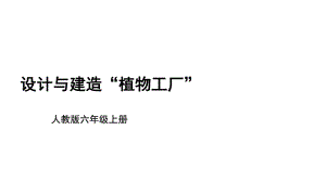 大象版六年级上科学5.17《设计与建造“植物工厂”》课件.pptx