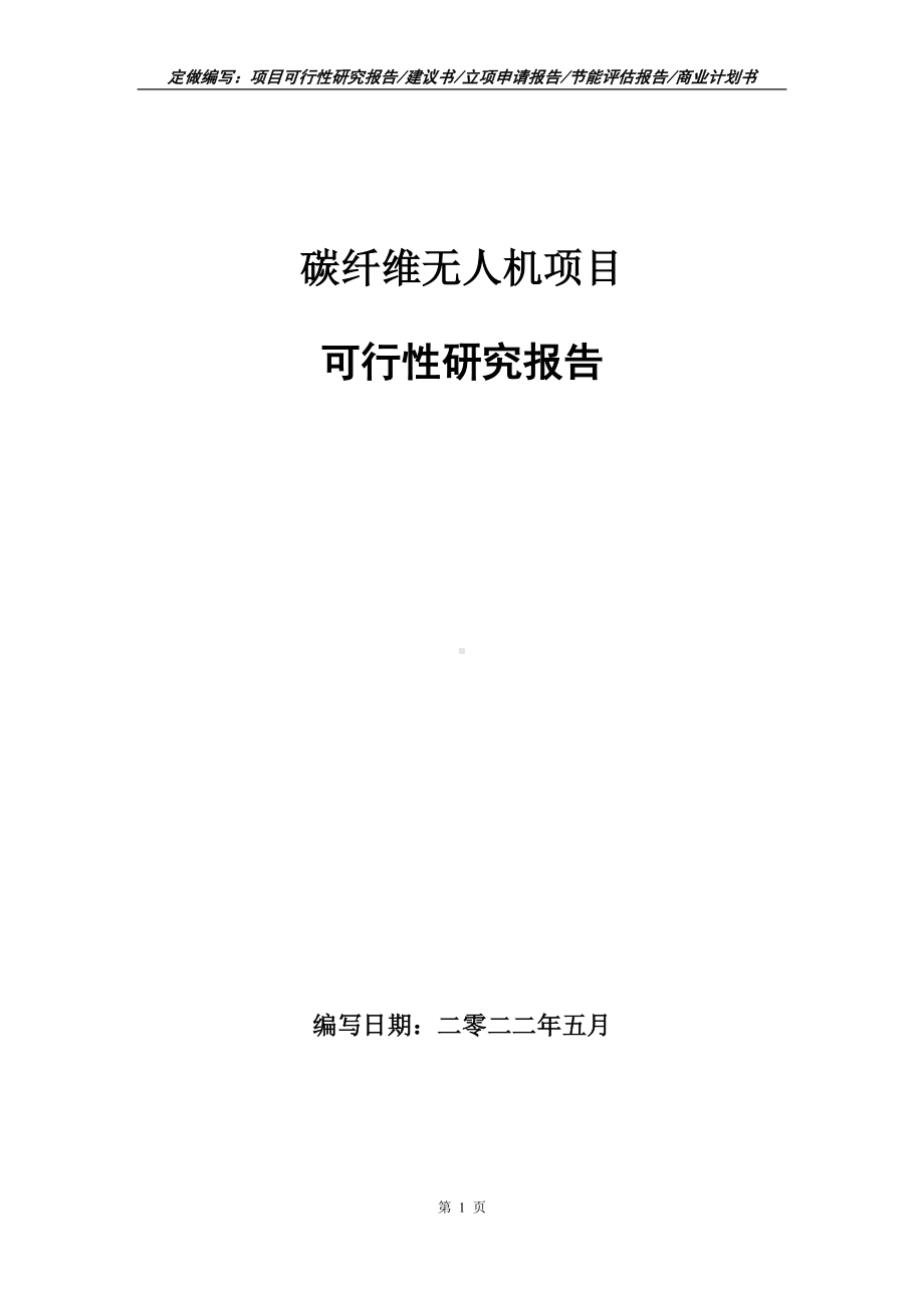 碳纤维无人机项目可行性报告（写作模板）.doc_第1页