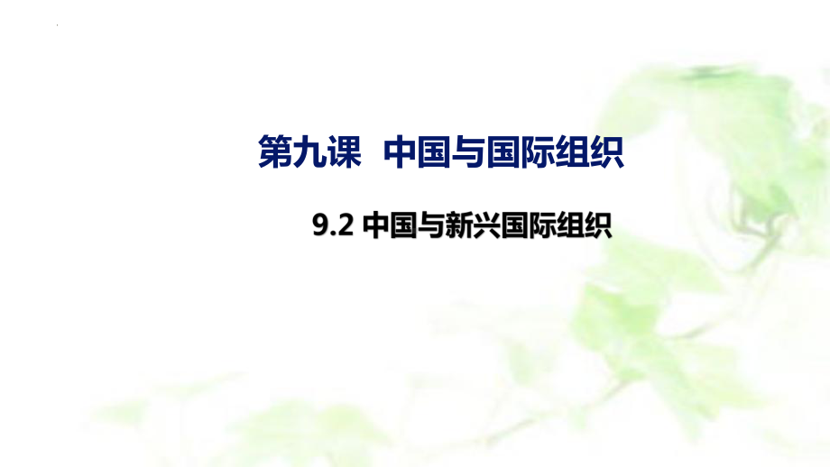 9.2中国与新兴国际组织 ppt课件-（部）统编版《高中政治》选择性必修第一册.pptx_第2页