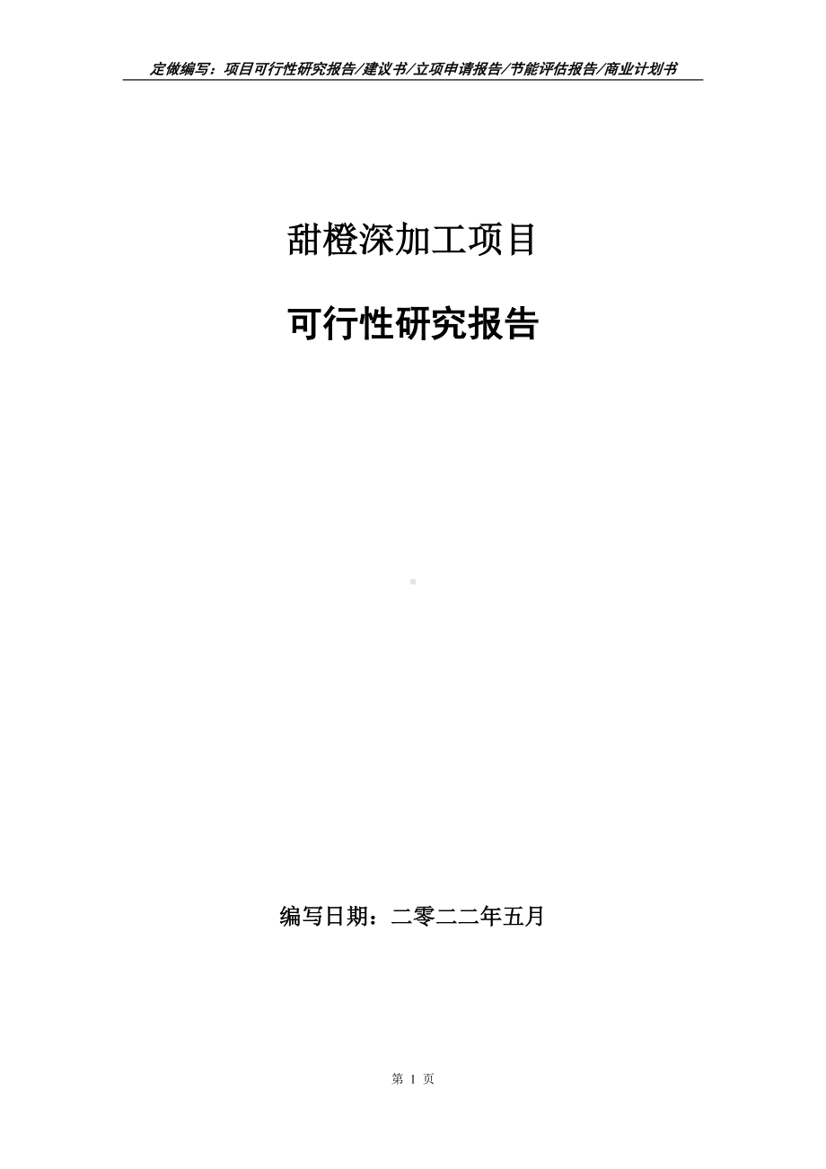 甜橙深加工项目可行性报告（写作模板）.doc_第1页