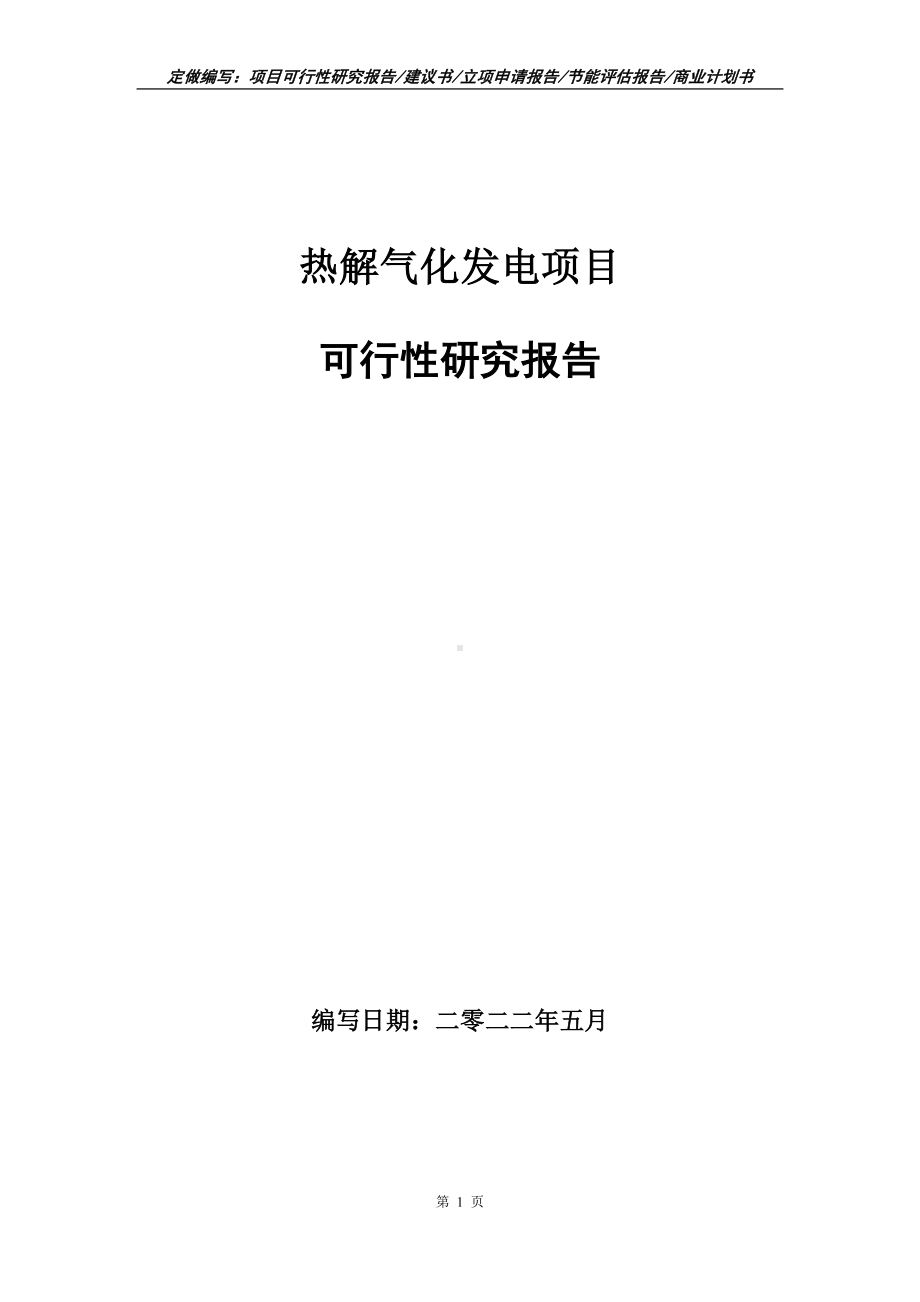 热解气化发电项目可行性报告（写作模板）.doc_第1页