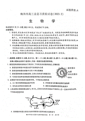 广东省梅州市2023届高三生物一模试卷+答案.pdf