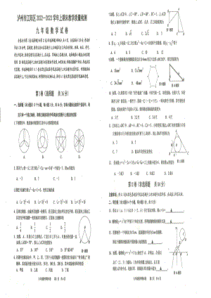 四川省泸州市江阳区2022-2023学年九年级上学期期末考试数学试题.pdf