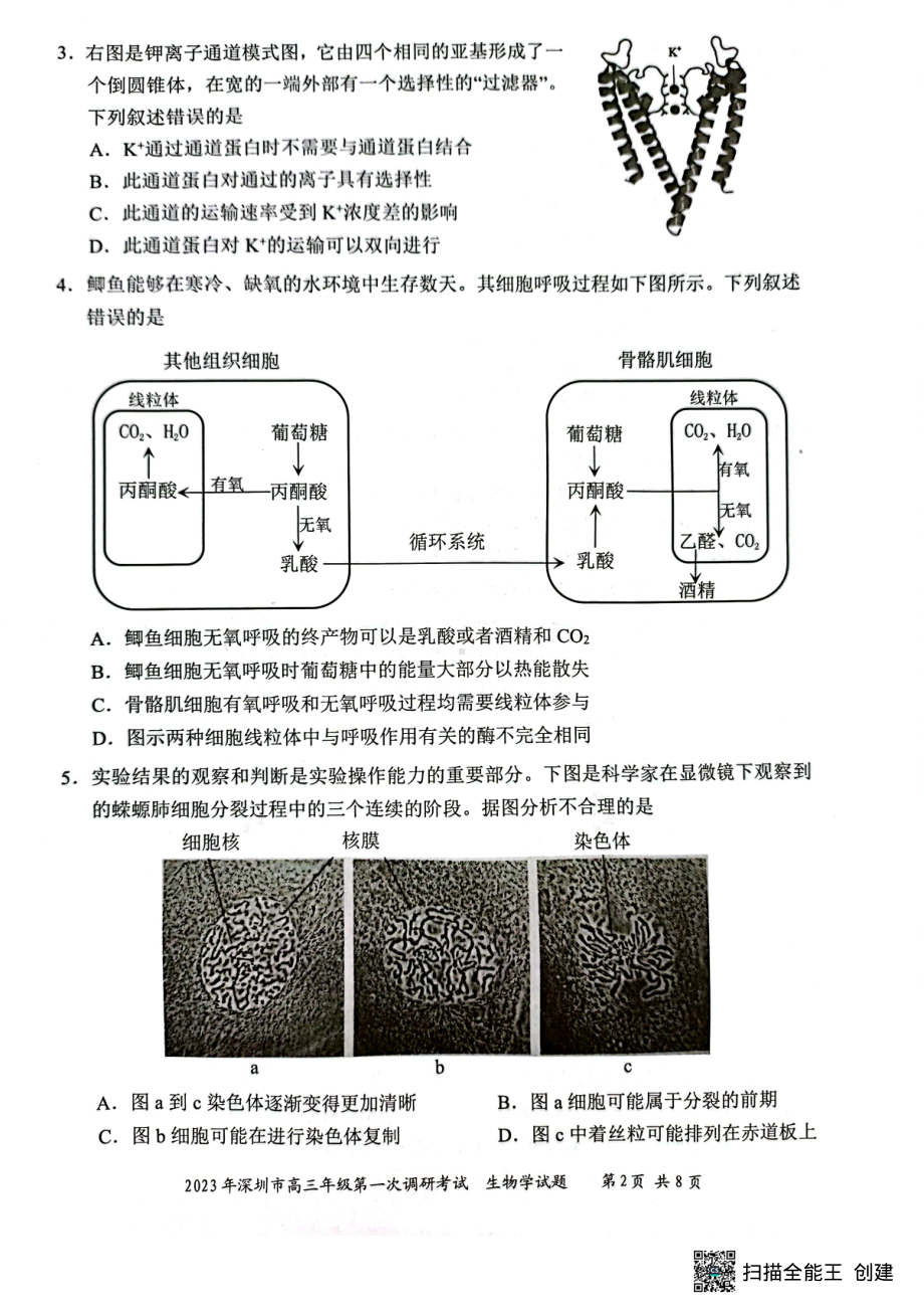 广东省深圳市2023届高三第一次调研考试生物试题.pdf_第2页